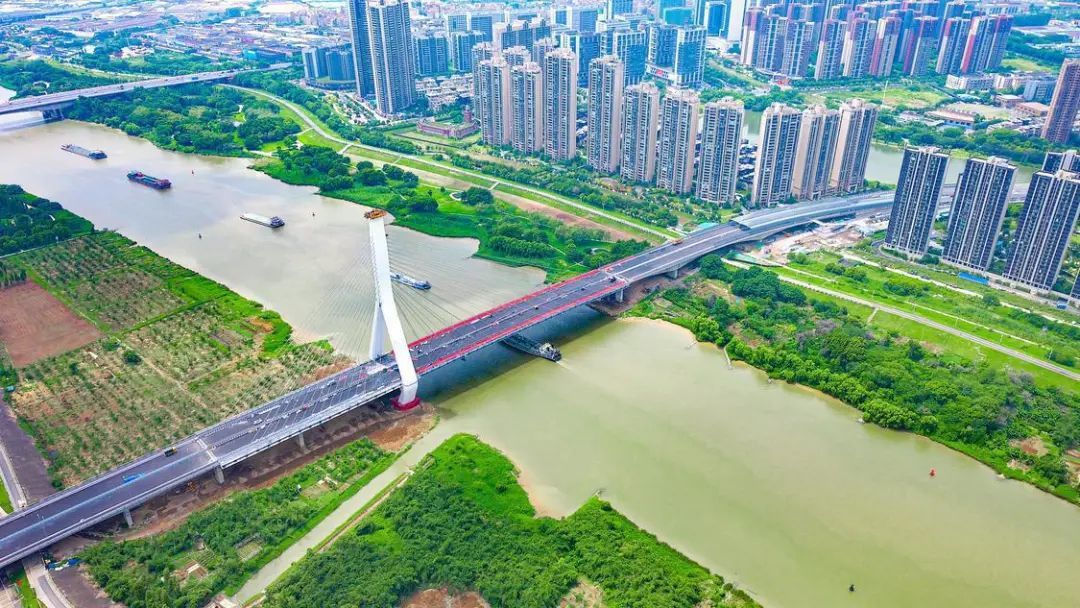 预计国庆前完工！同济大桥项目进度条拉至98%凤凰网佛山_凤凰网