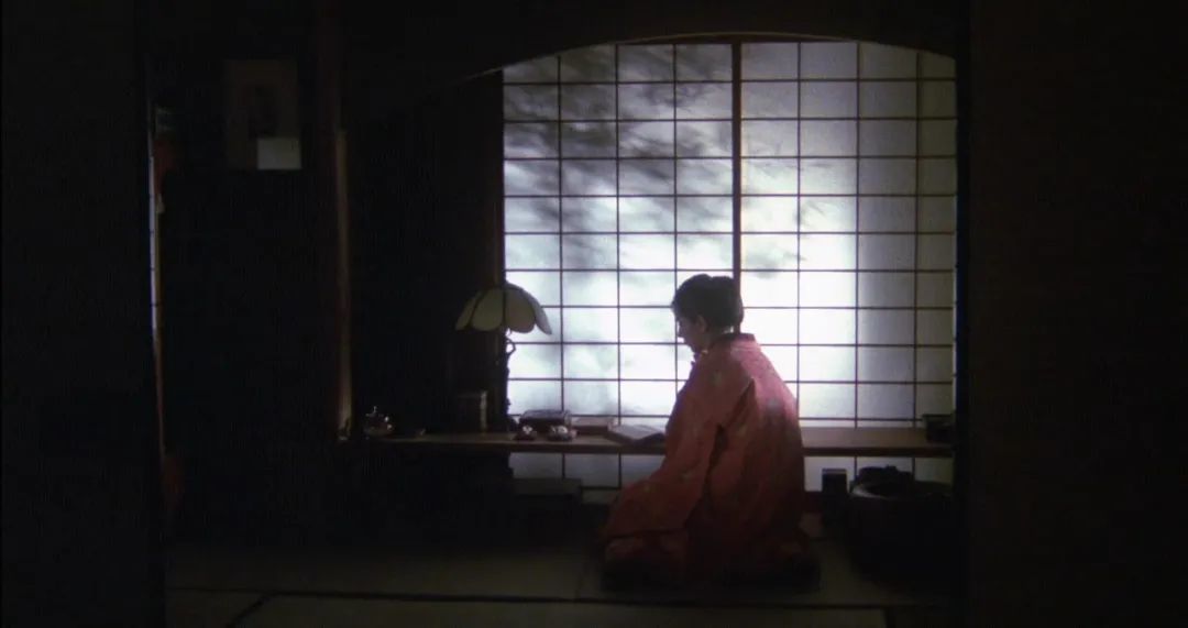 狐狸这种动物,为什么总象征着背叛?