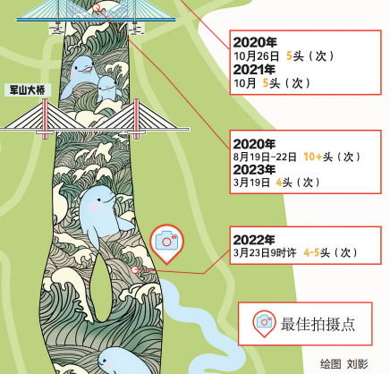 长江武汉段江豚高频出没地点公布