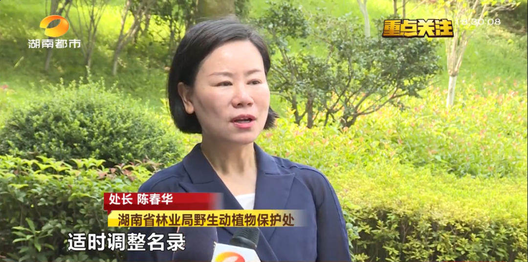 野猪被调出《湖南省地方重点保护野生动植物名录》 野猪被调出《湖南省地方重点保护野生动植物名录》