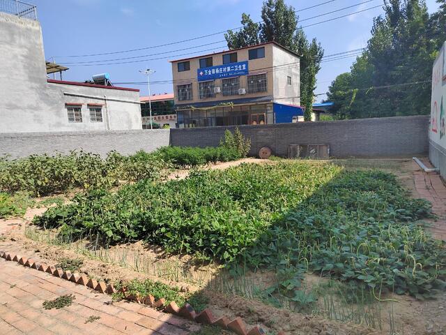 漯河市召陵区:“四小园”美化乡村大环境凤凰网河南_凤凰网