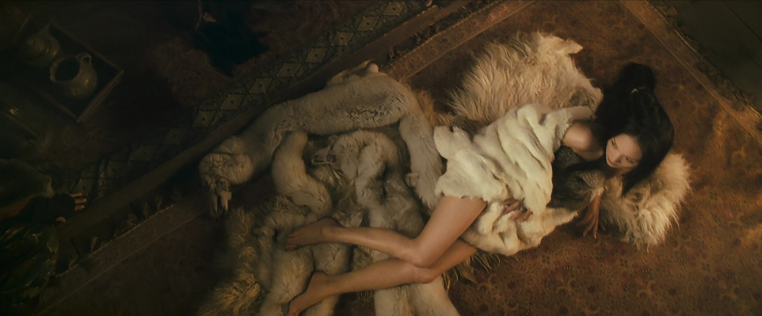 狐狸这种动物,为什么总象征着背叛?