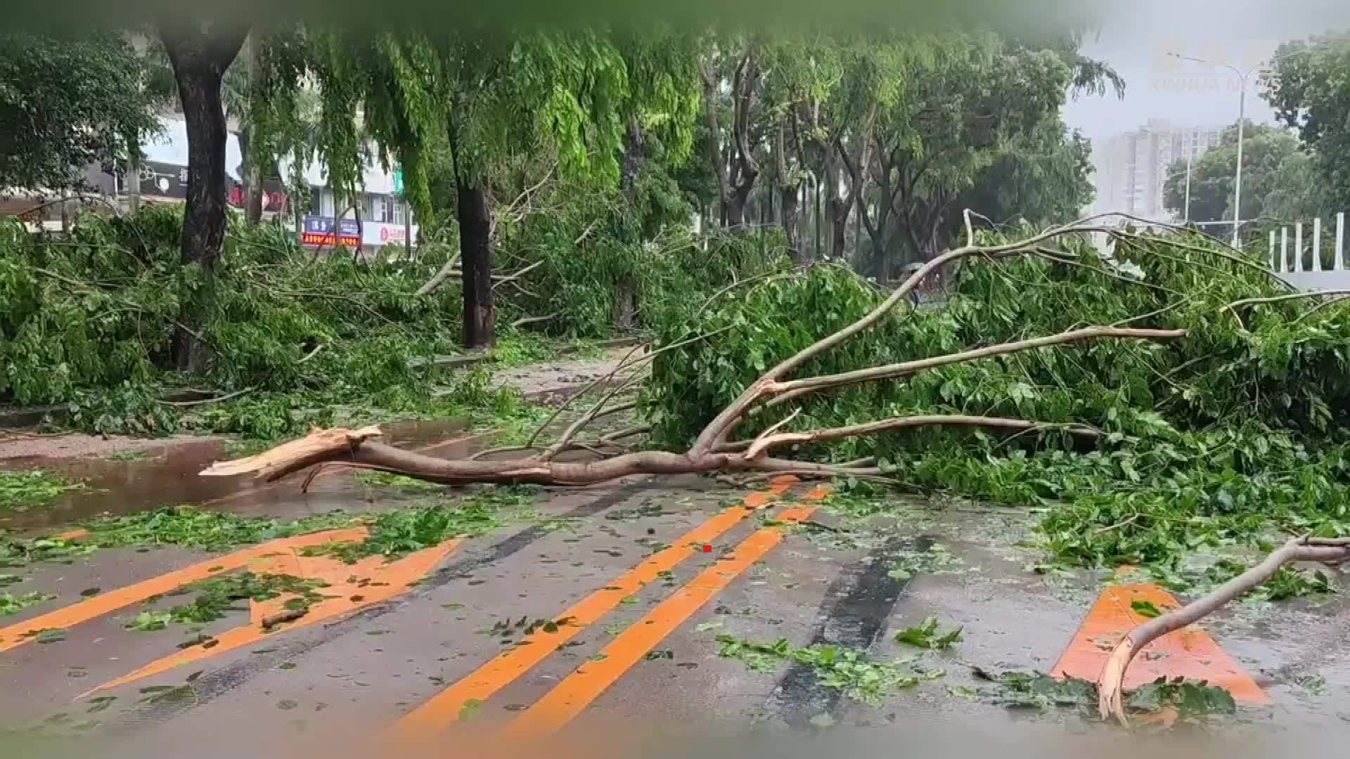 台风“苏拉”登陆后 珠海多处路段出现树木倒伏