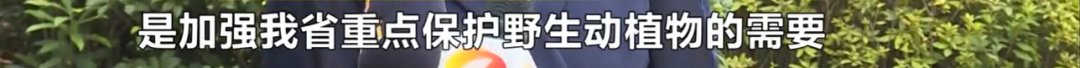 野猪被调出《湖南省地方重点保护野生动植物名录》