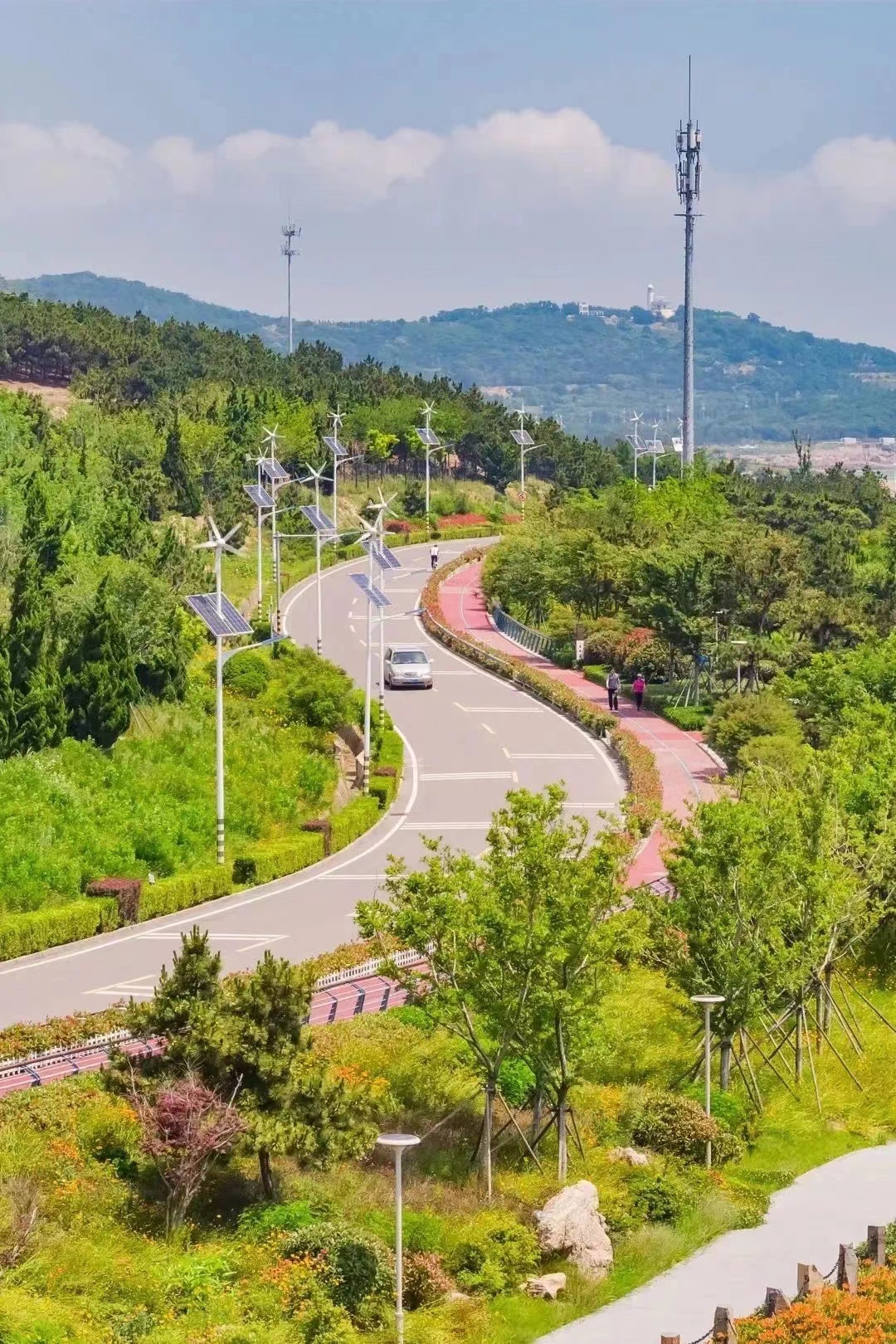 共赴青岛最美City Drive路线 青岛交通构建“快进慢游”的交旅融合美丽新画卷