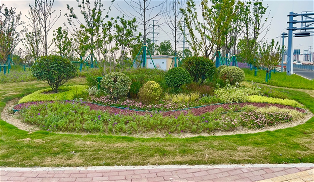 以“见缝插绿”丰富“公园城市”内涵 苏州让幸福更可感可知