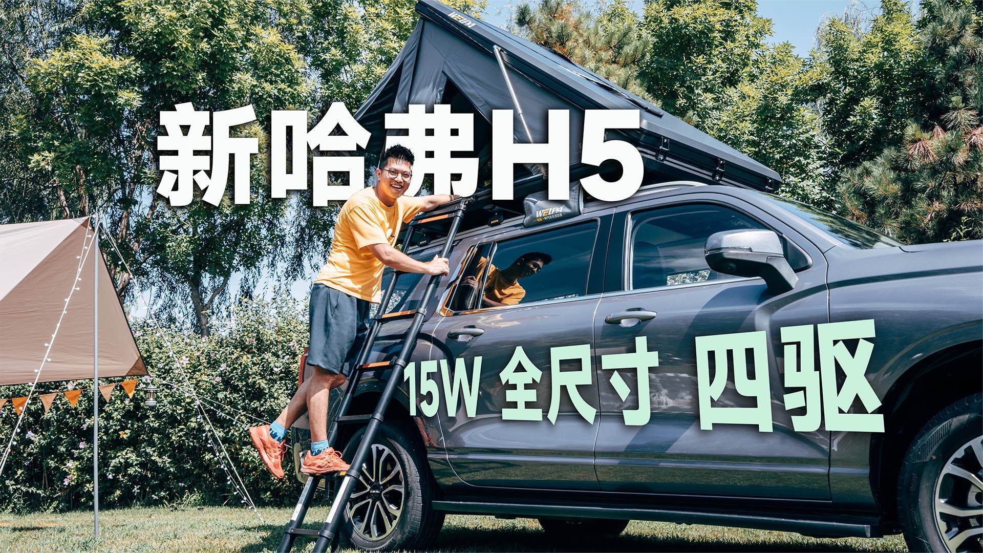 全面解析