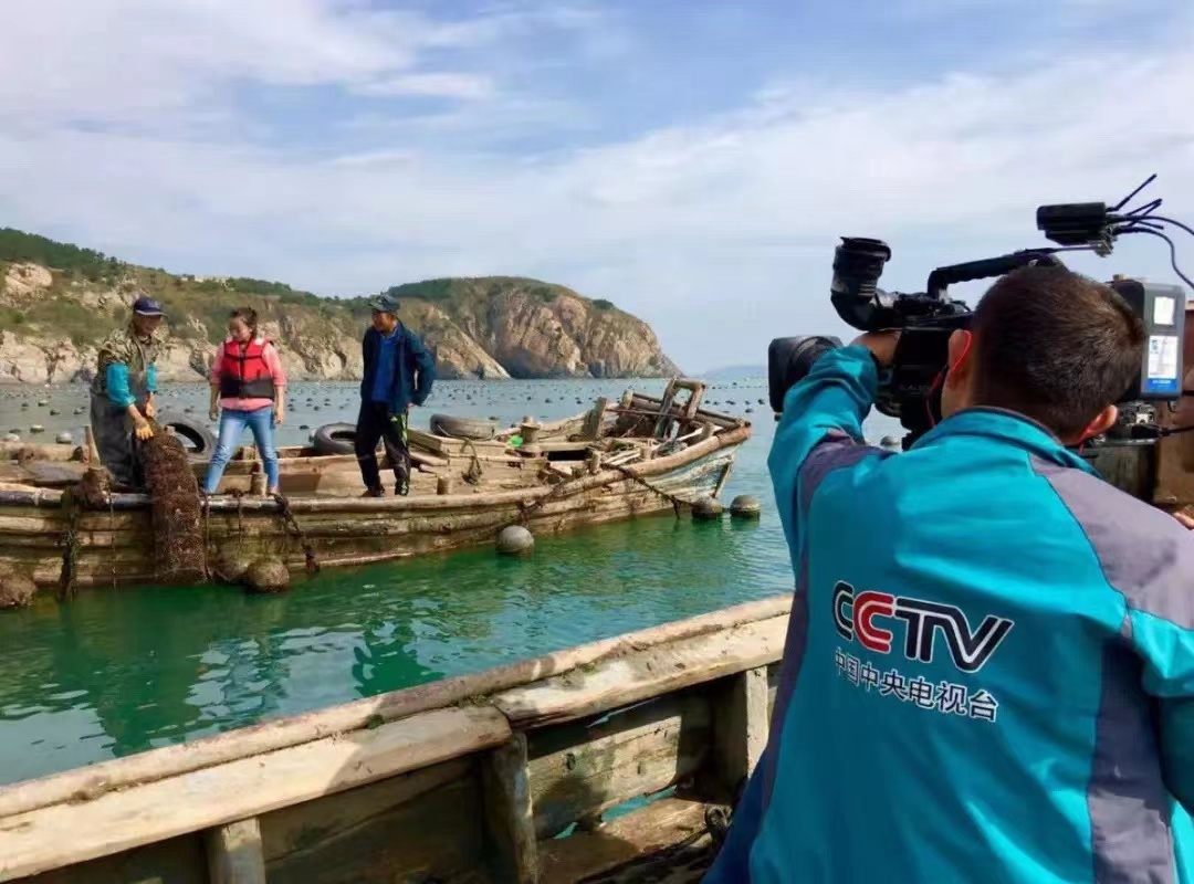 共赴青岛最美City Drive路线 青岛交通构建“快进慢游”的交旅融合美丽新画卷