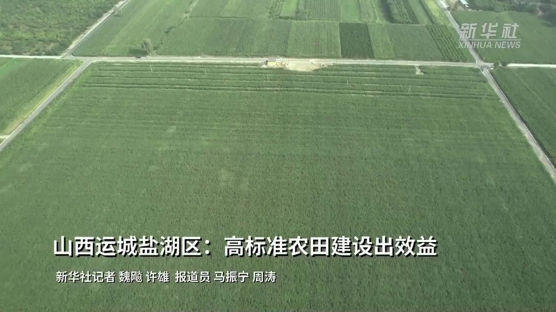 山西运城盐湖区：高标准农田建设出效益