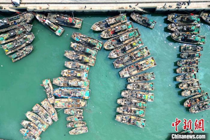 在山东日照黄海中心渔港内,渔船静待开海。(无人机照片)王敬之 摄