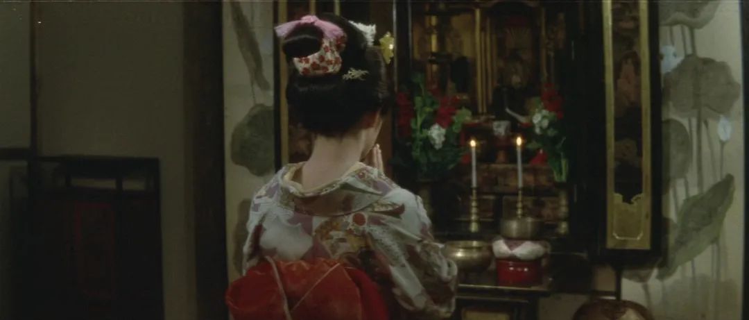 狐狸这种动物,为什么总象征着背叛?