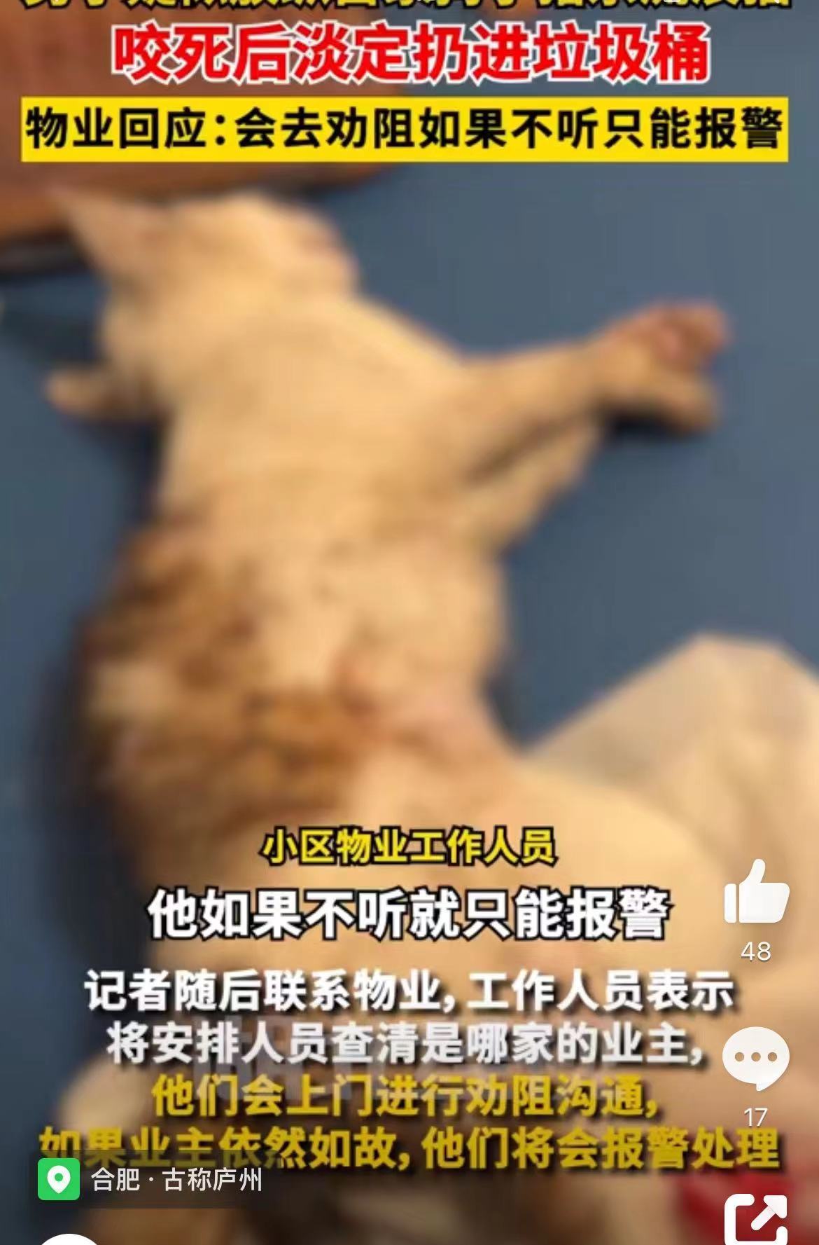 （图源截图）