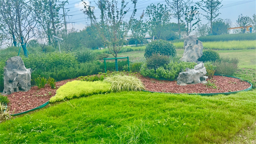 以“见缝插绿”丰富“公园城市”内涵 苏州让幸福更可感可知