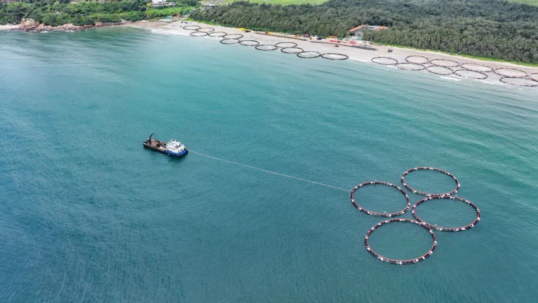 今年6月，江门在台山上川乌猪洲海域正式启动首批重力式网箱下海锚定安装工作 张浩洋 摄