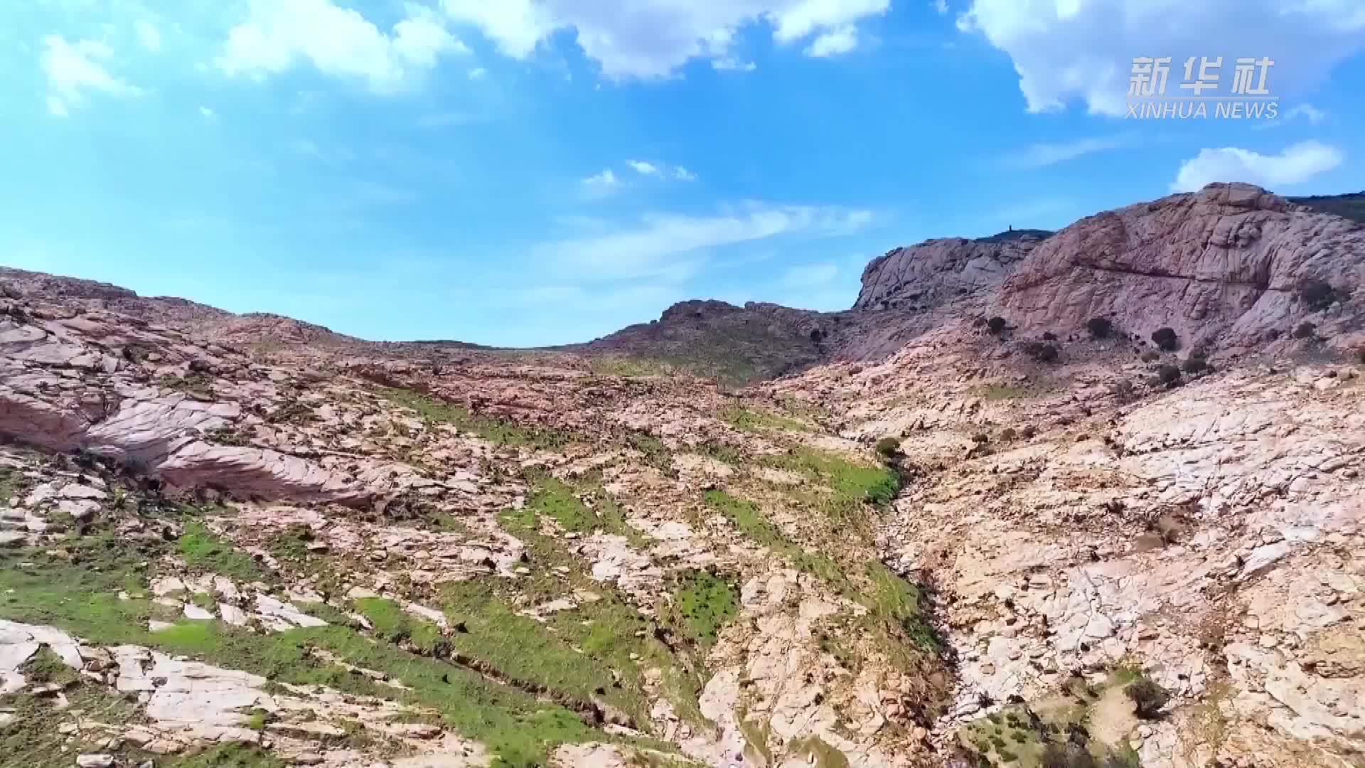 内蒙古乌拉特中旗：浪漫初秋景色新