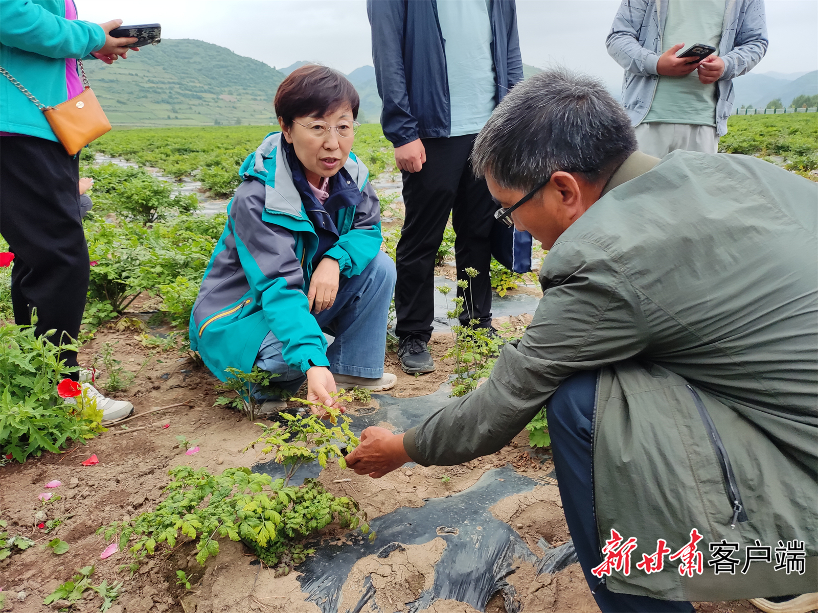 科技特派团成员深入田间地头调研指导