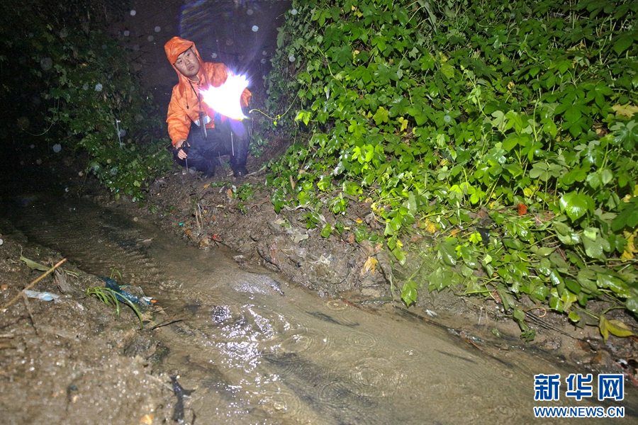 8月26日夜，南阳工务段铁路职工冒雨对线路进行徒步巡检，全面守护铁路安全。