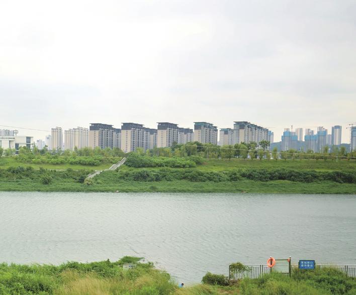 敢胜垸防洪堤经过整治后，防洪能力得到进一步提升。吴俊贤 摄