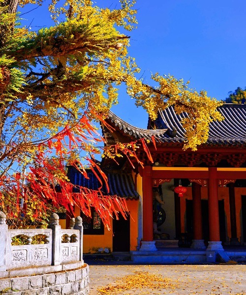 那些秋天治愈系风景，就藏在明月山的色彩里……