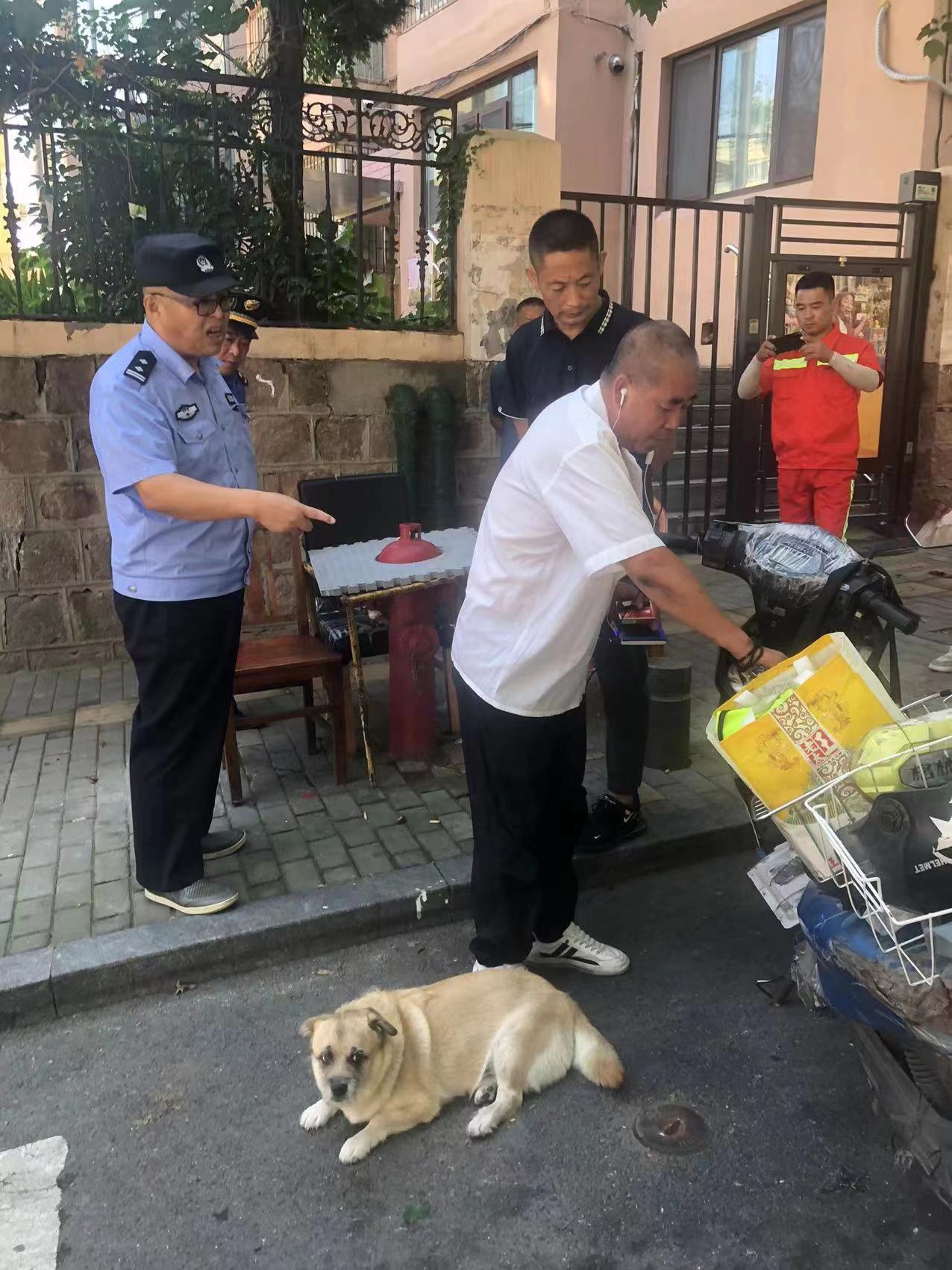 实事为民：市北区宁夏路街道开展文明养犬整治行动凤凰网青岛_凤凰网