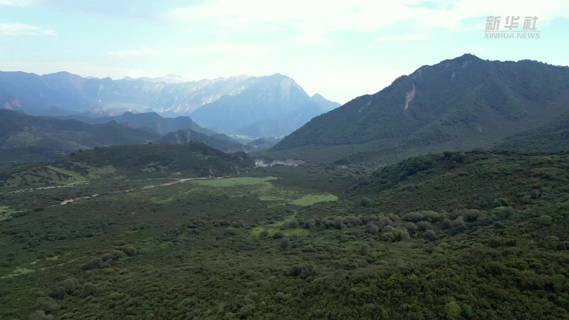 在群加国家森林公园邂逅秋日美景