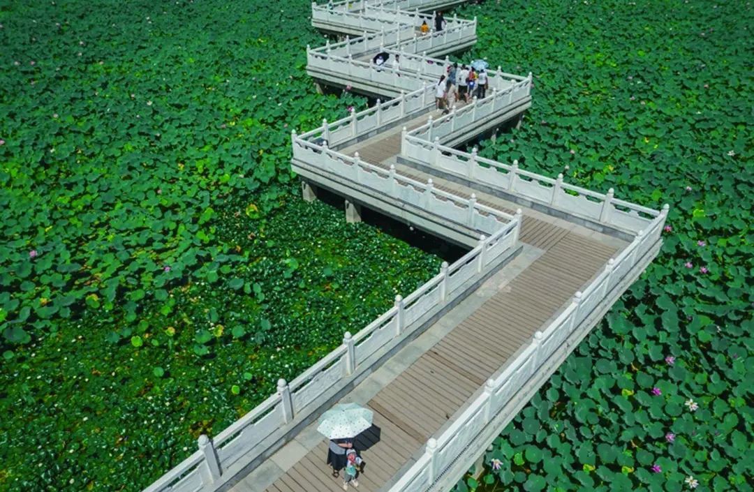 白银水川湿地公园一角