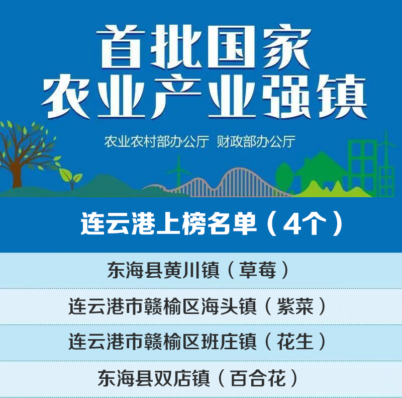 连云港排行_连云港市入围2023数字城市百强榜