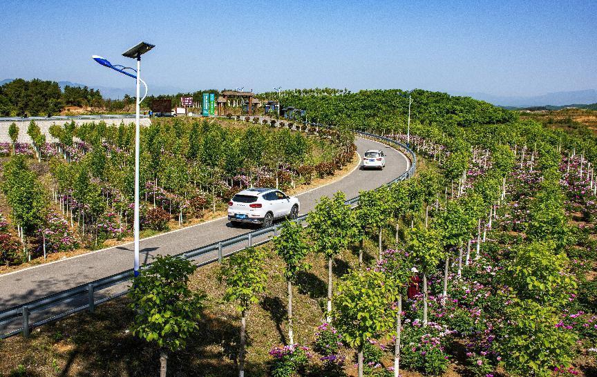 图为横贯南召县玉兰花博园X007线的“最美农村公路”一隅。