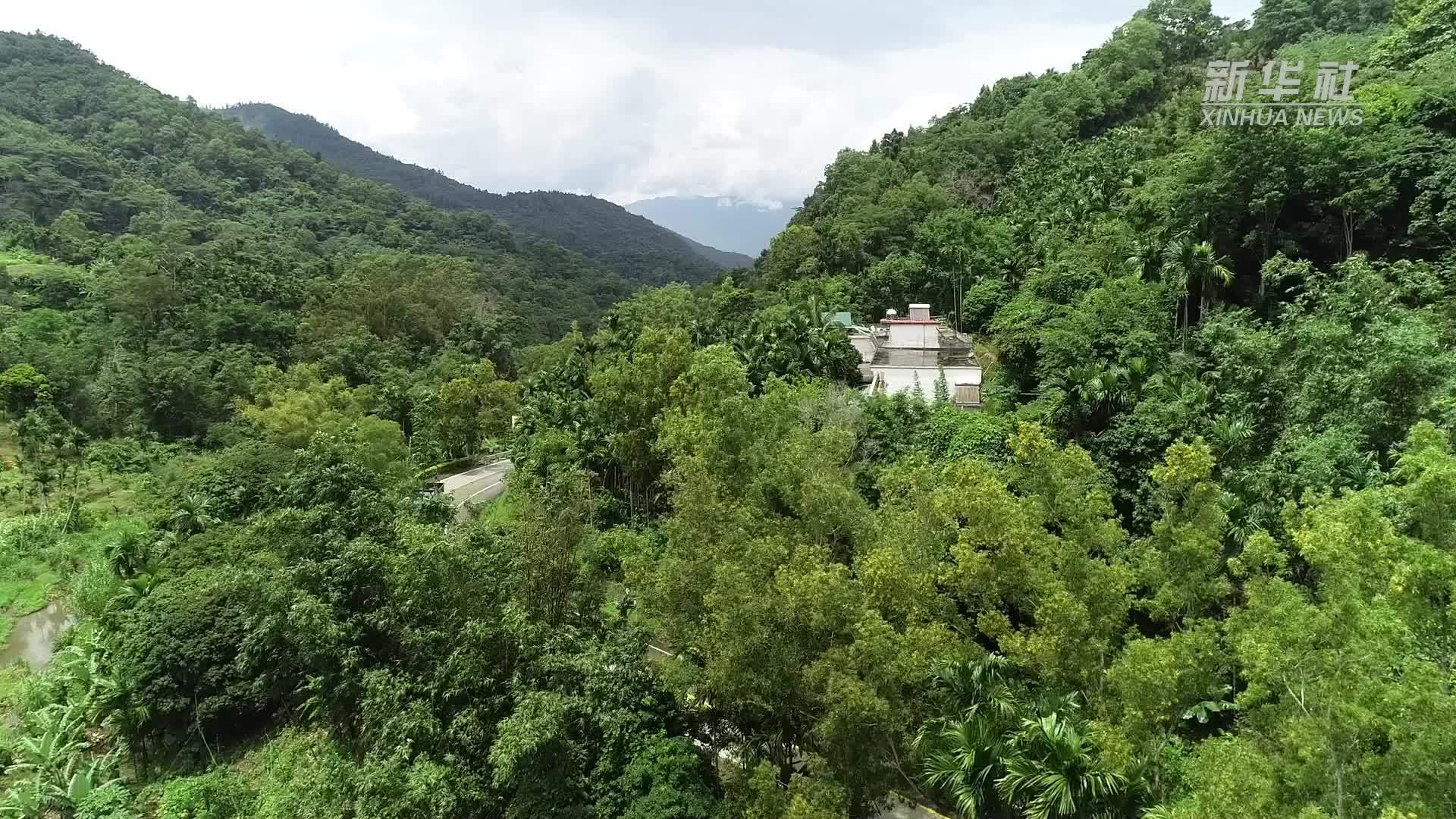 海南乡村振兴“走花路”：五指山“庭院经济”开出“富贵花”