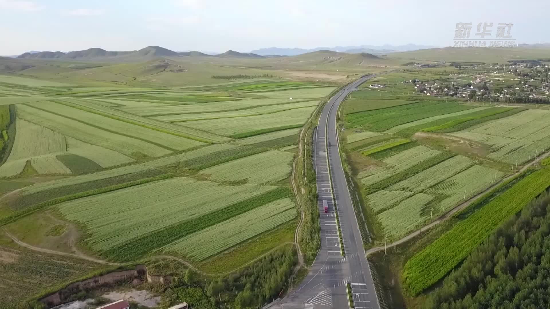 千城胜景｜内蒙古翁牛特旗：荞麦花开