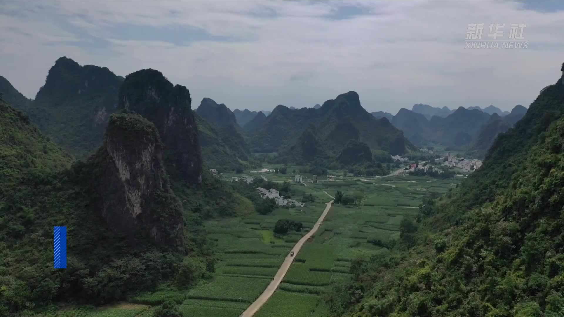 广西大化发展庭院经济助力乡村振兴