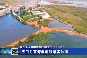 【视频】玉门月亮湾湿地秋景美如画