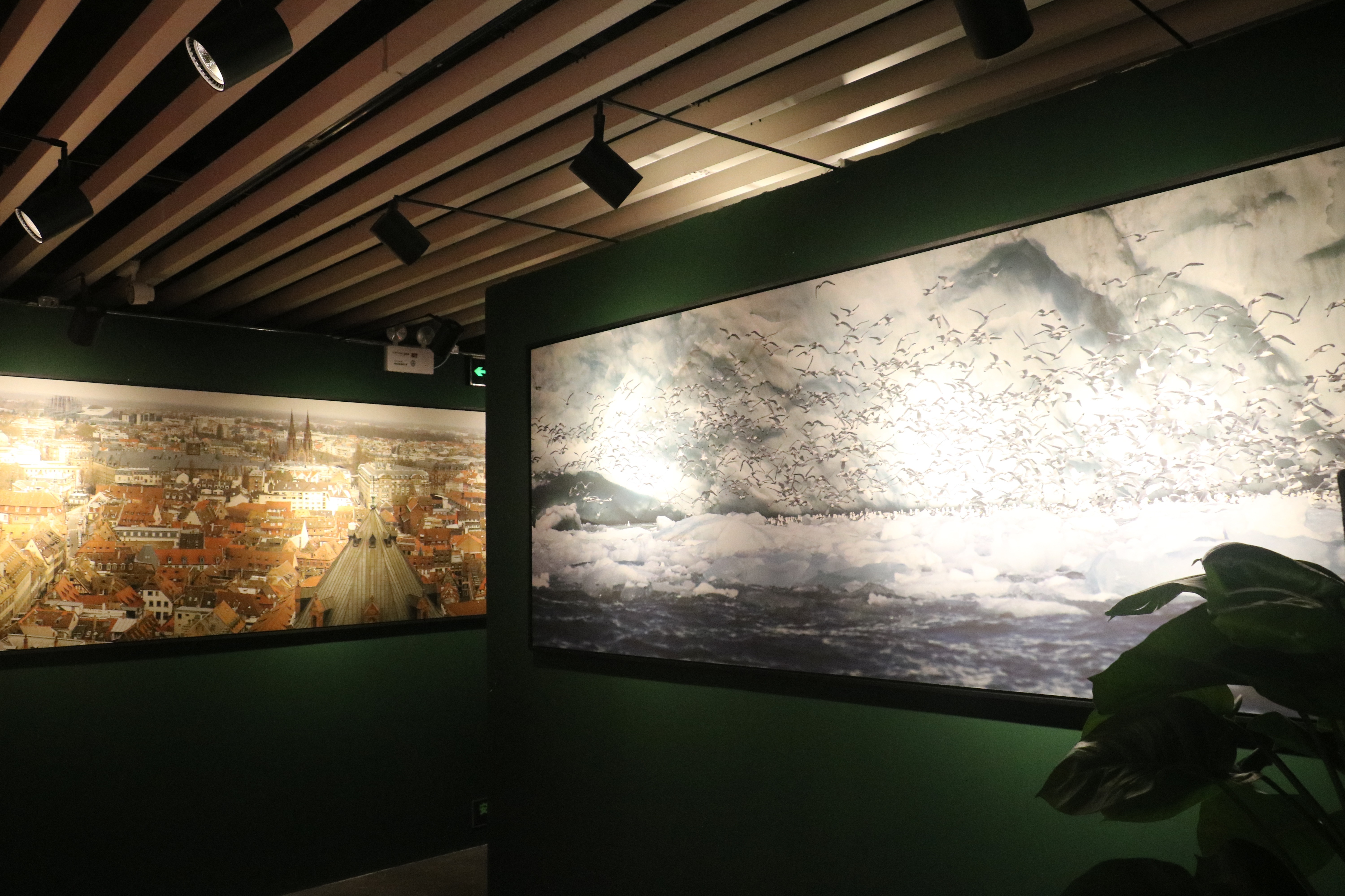 “国家地理经典影像”系列巡回展览西安开展!