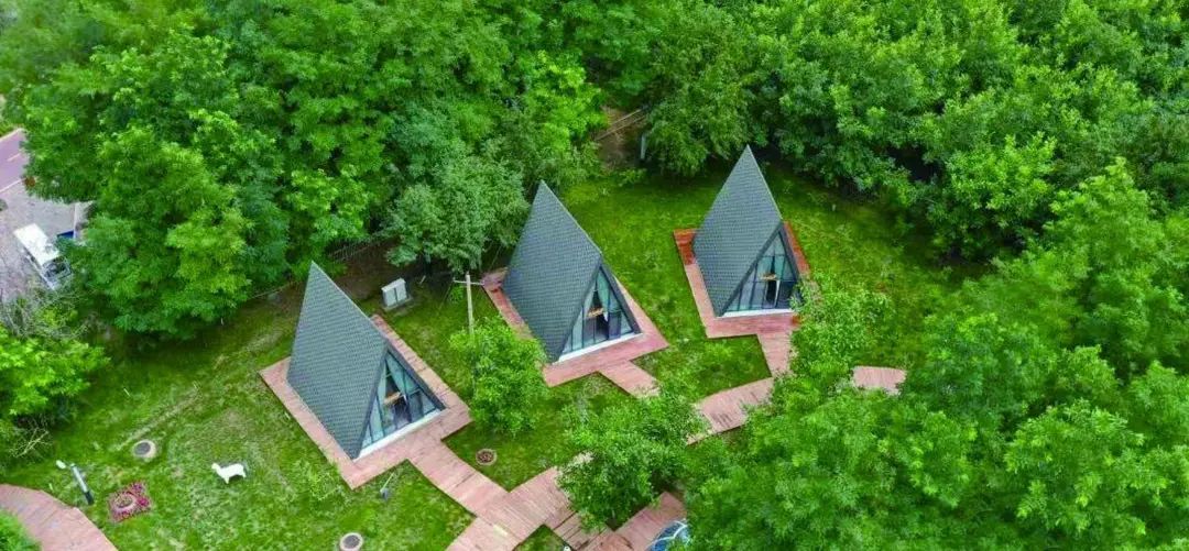 白银黄河湾景区一角