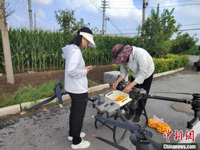 (资料图)工作人员正往无人机中放置赤眼蜂蜂球。罗静摄