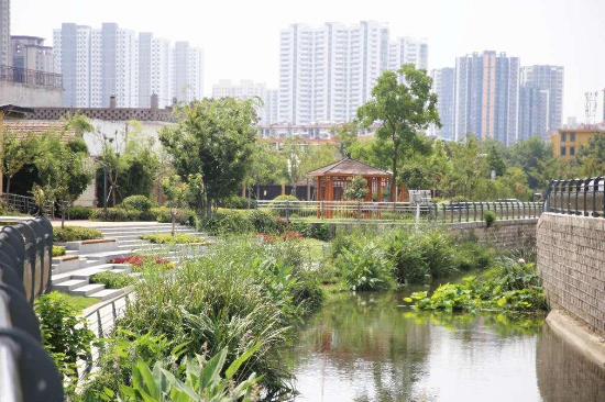临沂市城管局园林环卫中心青龙河管理办：持续增进民生福祉，让辛福感“流”进百姓心头