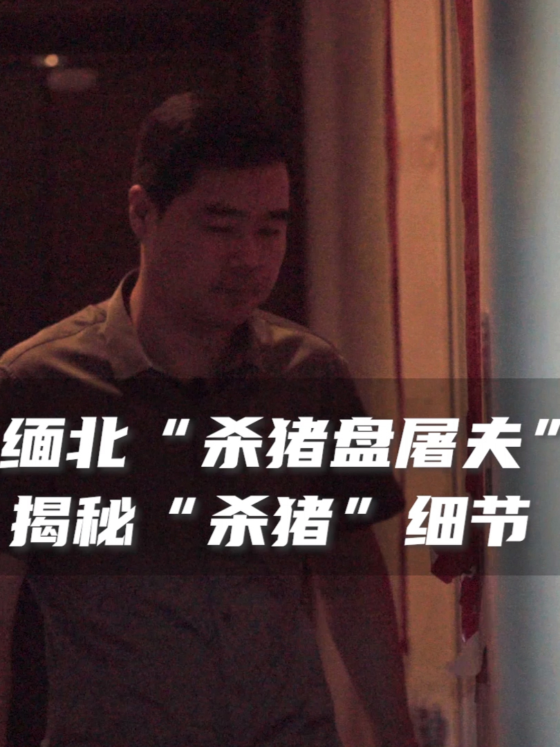 郝振东因生意负债200万，为求翻身在亲戚的介绍下偷渡到缅甸打工，结果上班的第二天却拿到4本杀猪盘手册，上面有精聊、细聊、开场白、土情话、造梦等内容，7天就能让受害者爱上他们。亲眼见证了杀猪盘的残忍与