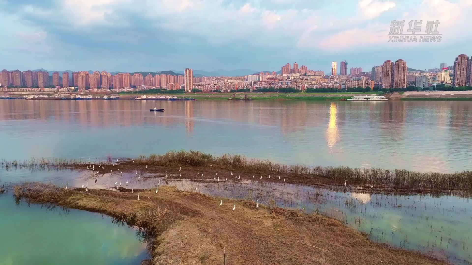 重庆丰都：生态保护优先 让小微湿地变鸟类家园