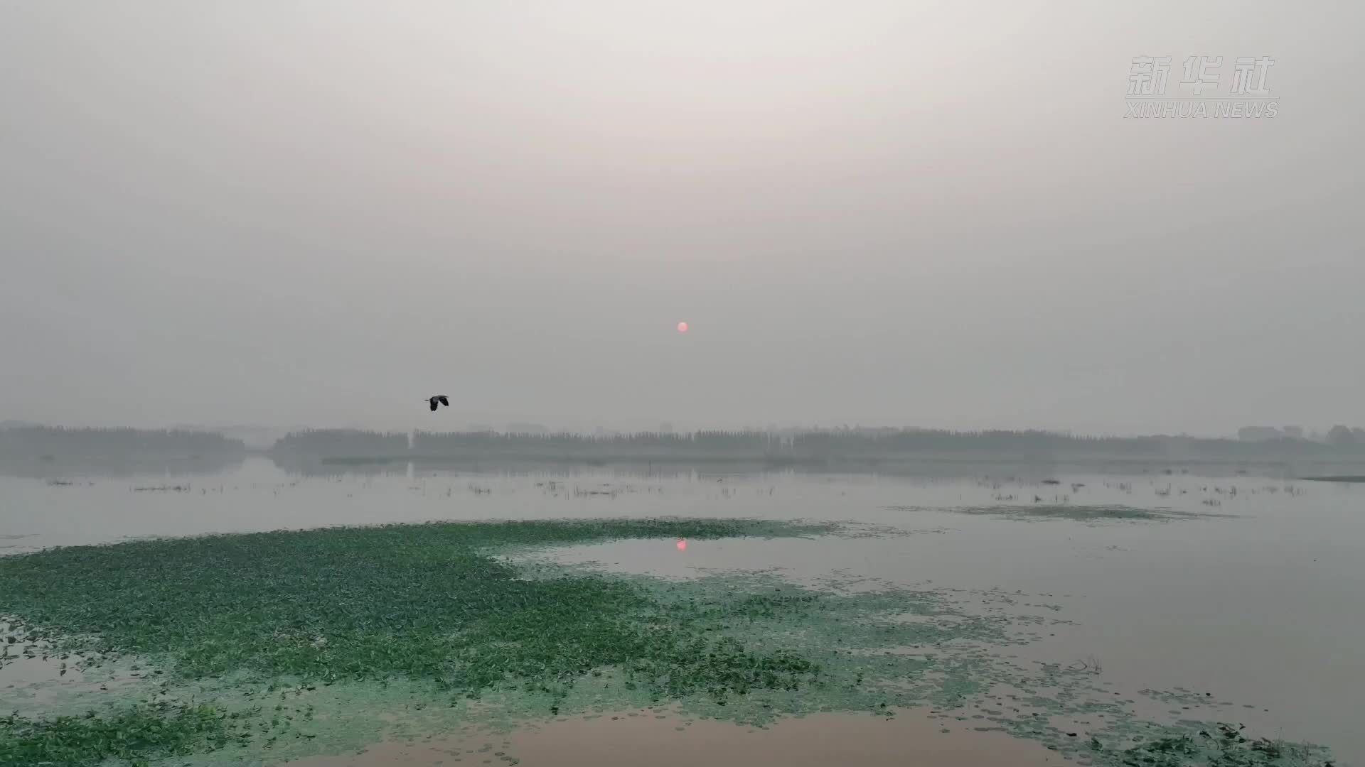 瞰中国｜山东巨野：白露至 秋意浓