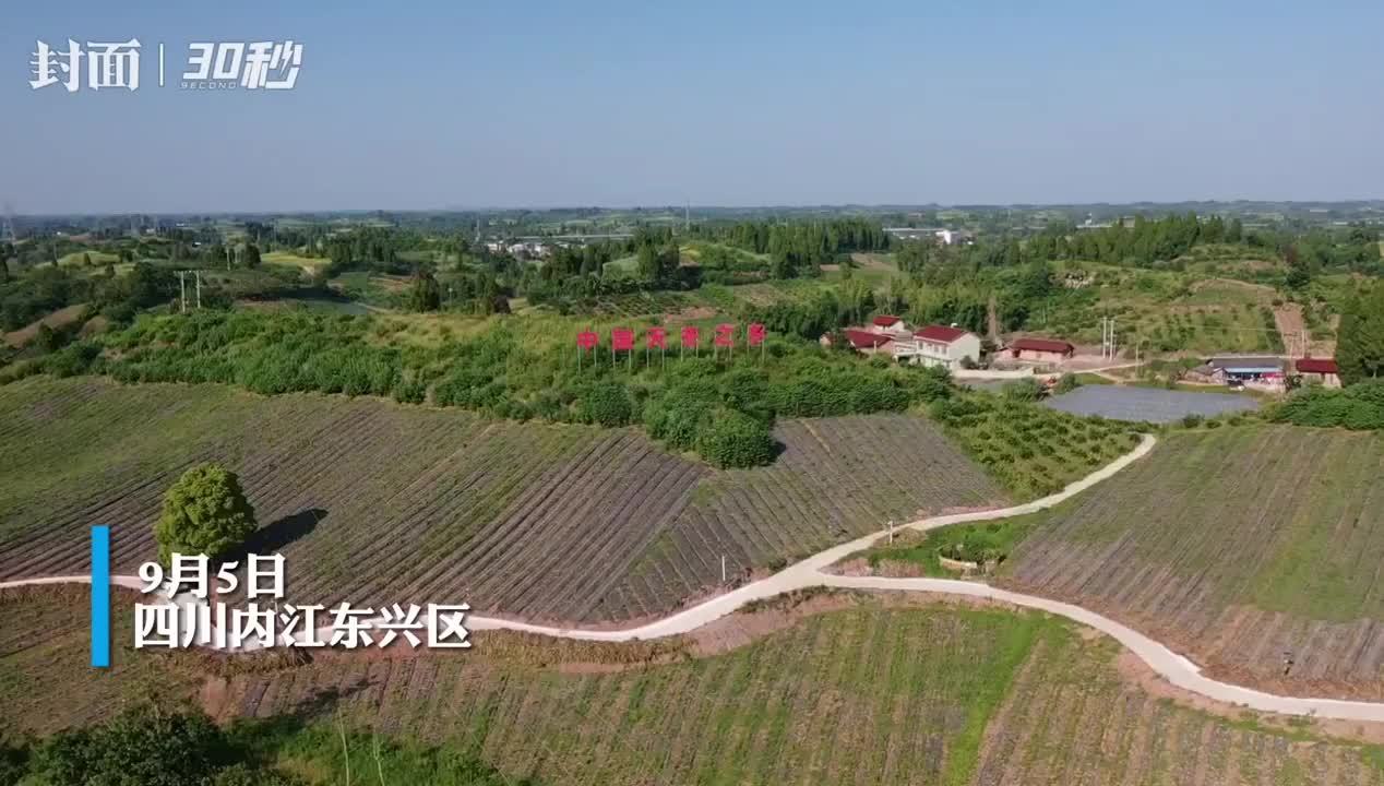 30秒丨航拍四川内江东兴区三大天冬种植基地 青山环绕绿意盎然