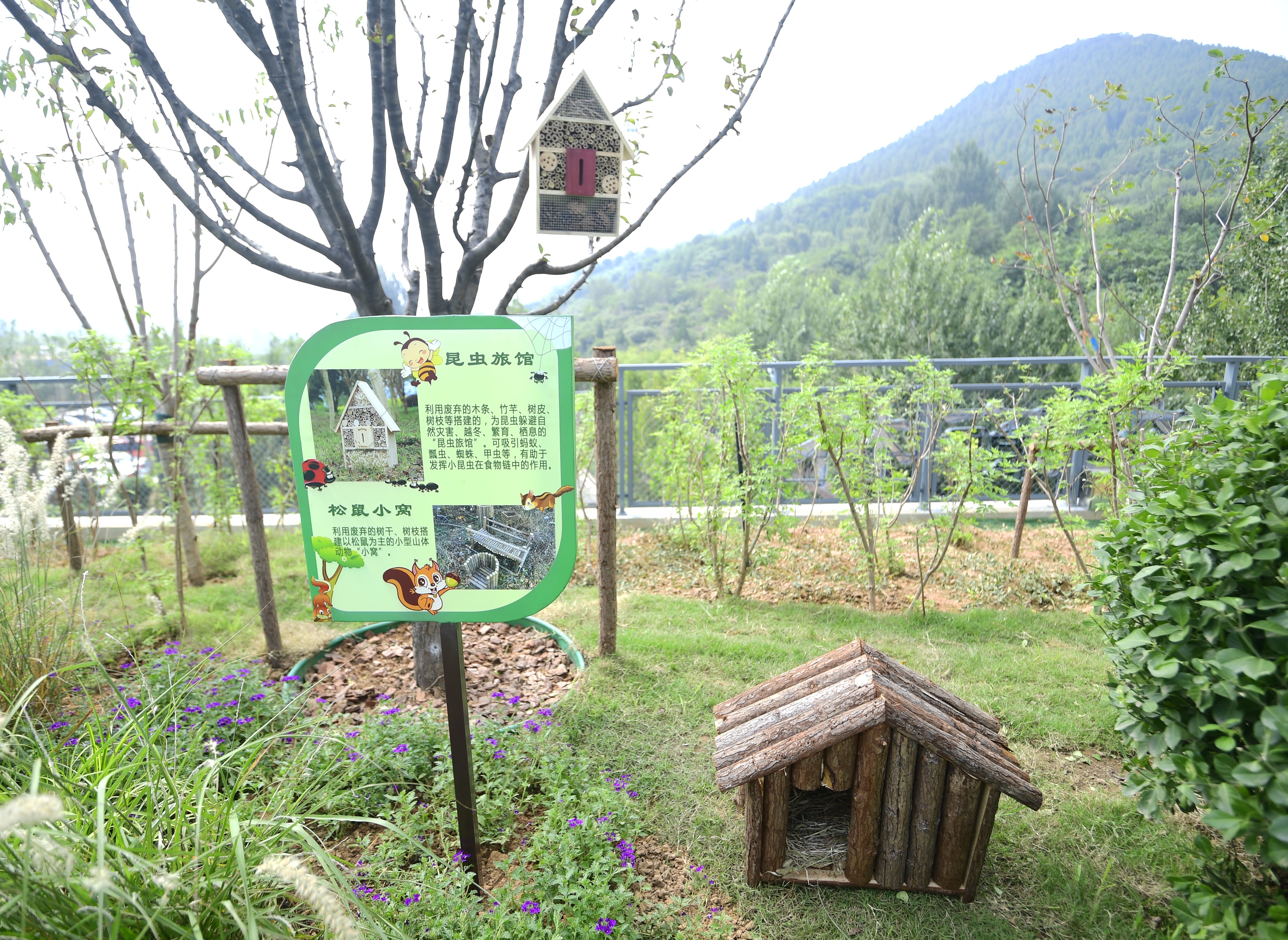 山东首座！济南佛慧山生态廊桥正式启用