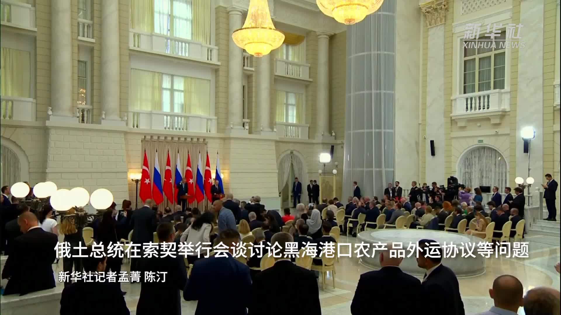 俄土总统在索契举行会谈讨论黑海港口农产品外运协议等问题