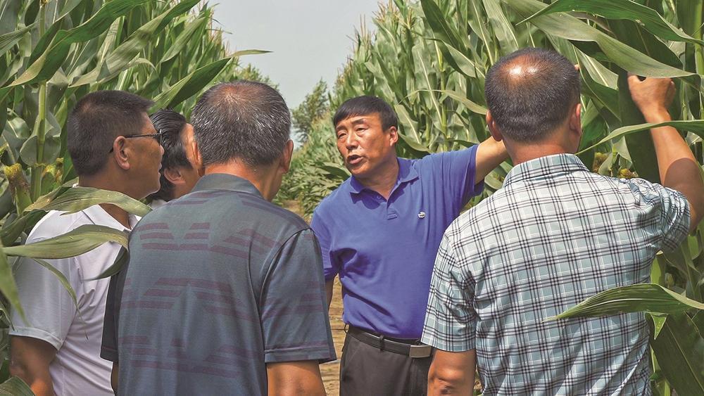 宁江区伯都乡杨家村党支部书记黄艳雨现场讲解土地集约化种植的好处。