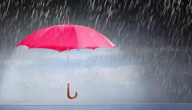 风雨中的我凤凰网甘肃_凤凰网