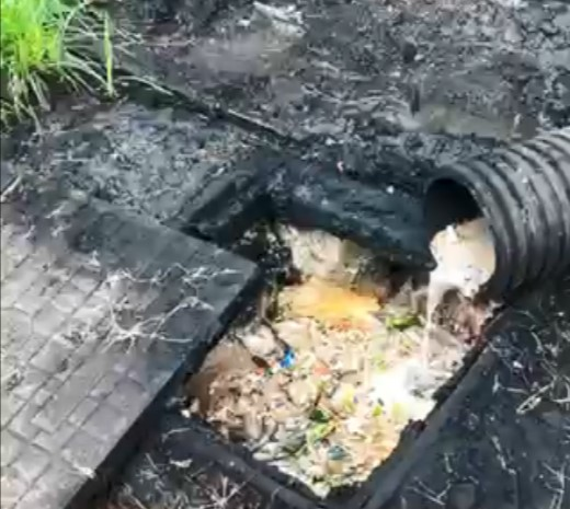 图1 餐厨垃圾直排下水道