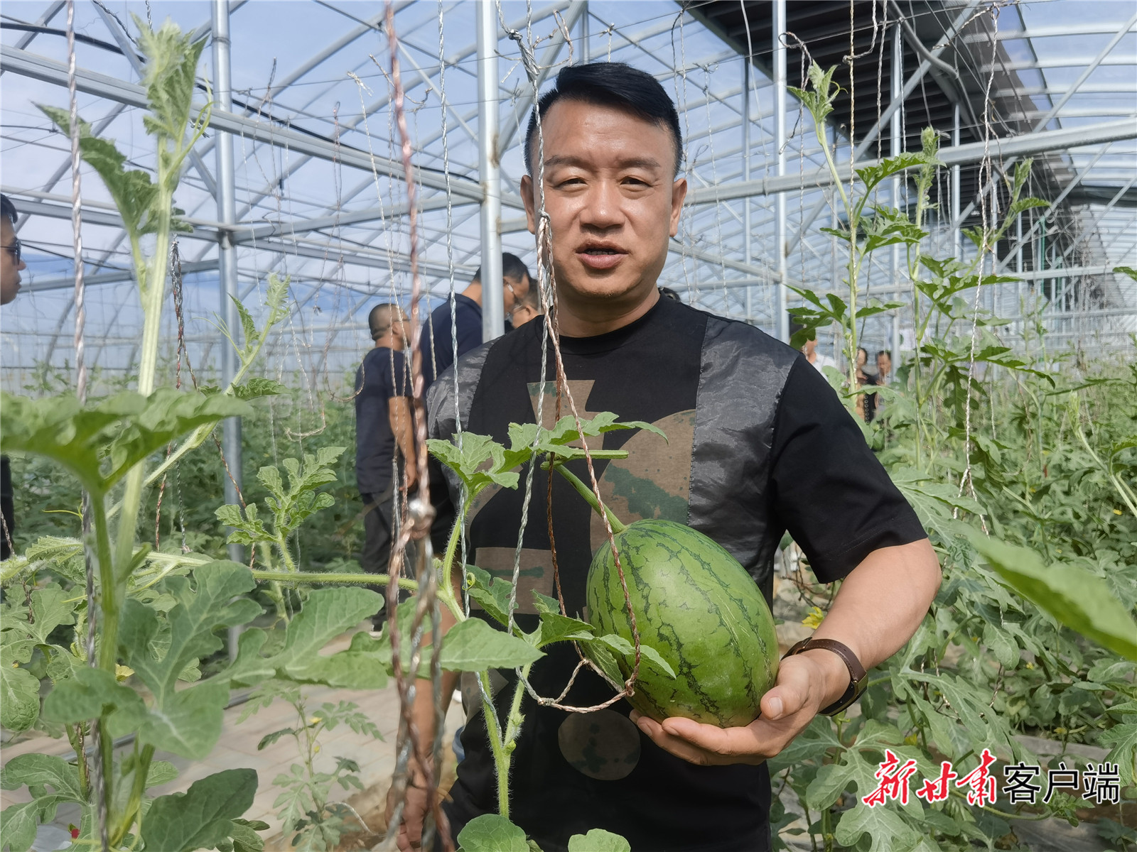 武威发放镇优质西瓜(北上广深)供应基地种植的西瓜