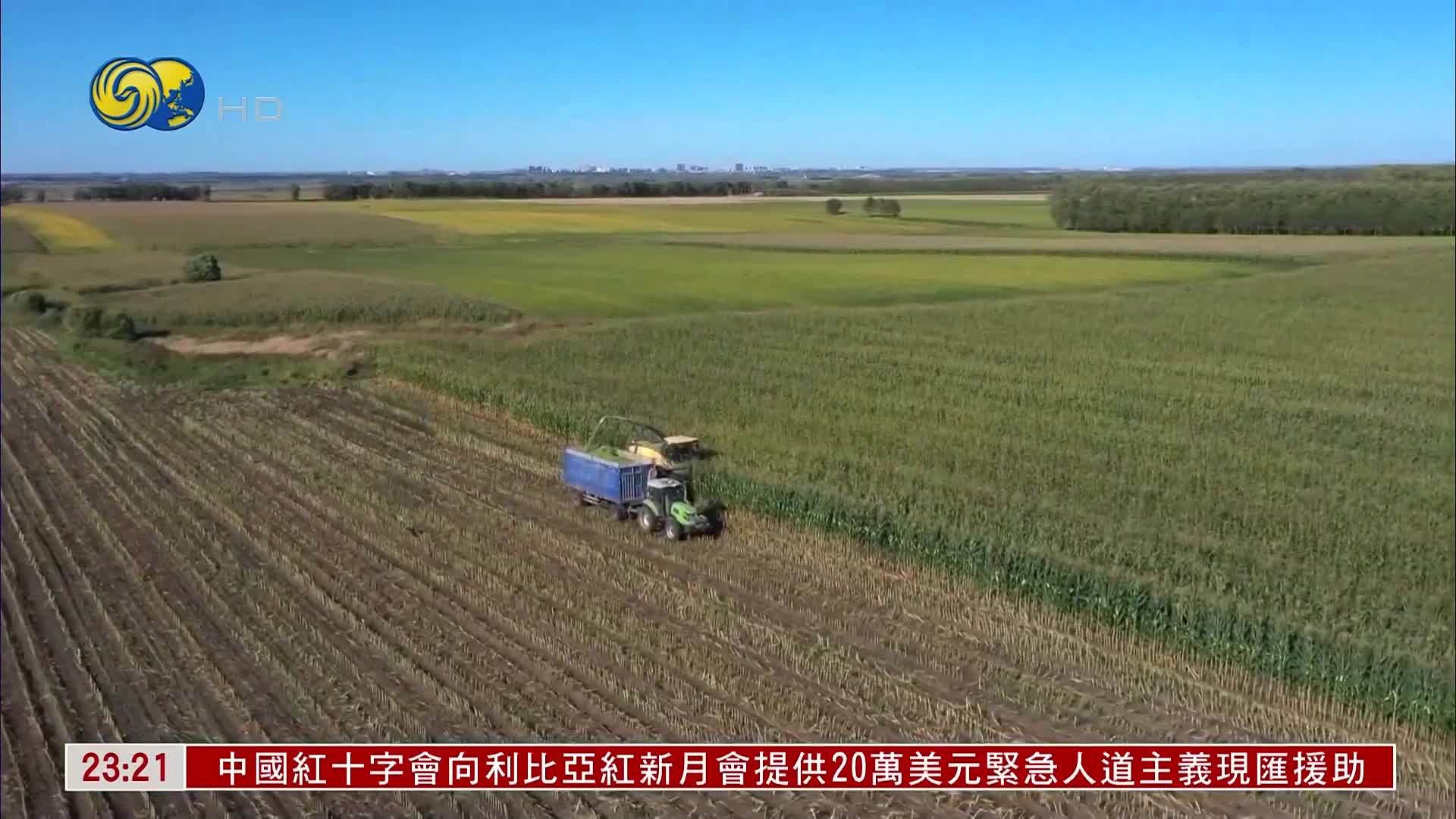 自然资源部约谈9个违规问题突出地市