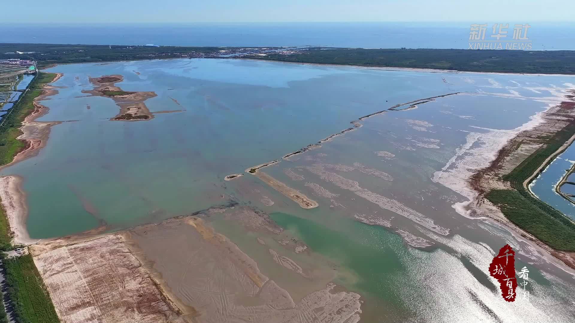 千城百县看中国｜河北秦皇岛：七里海潟湖湿地迎秋季迁徙首批候鸟