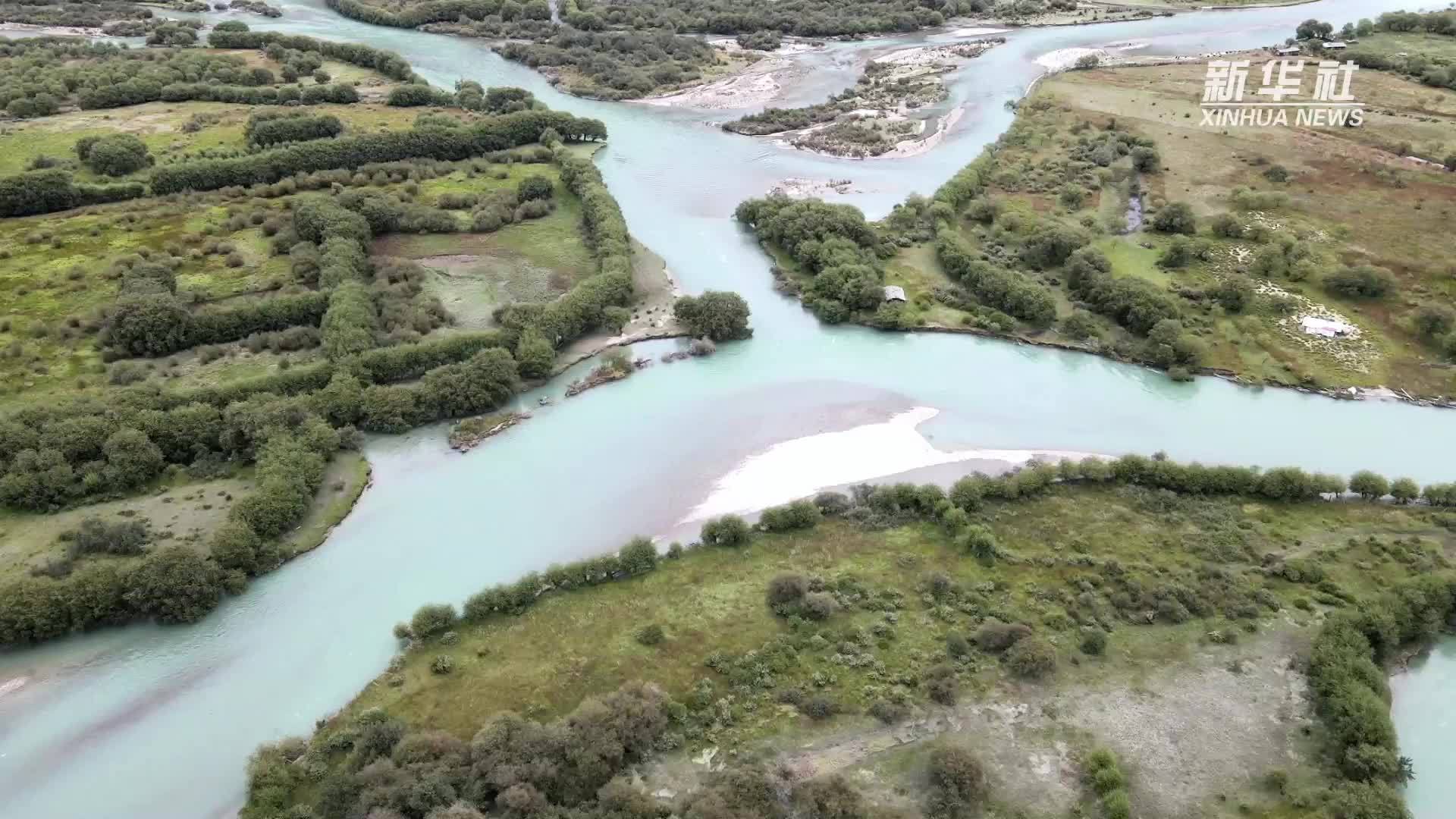 管护员眼中的雅尼湿地生态之变