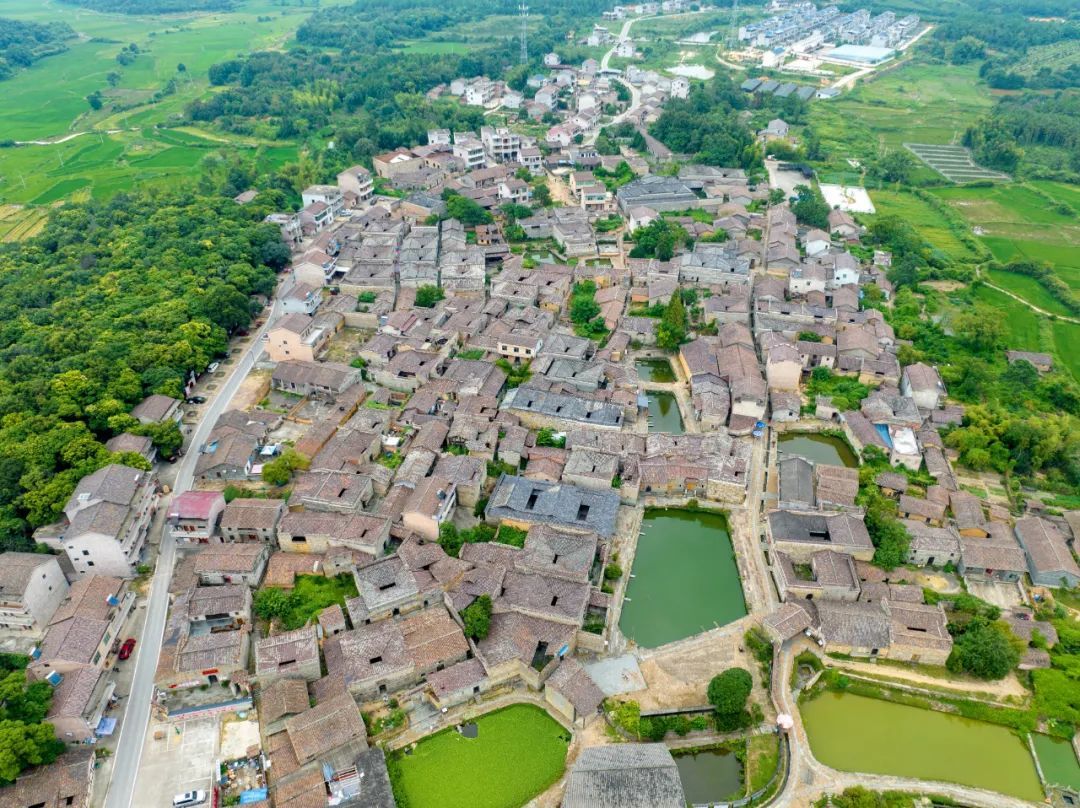 航拍抚州竹桥村古建成群绿树成荫